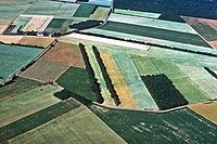 Aerial survey around Saint-Georges-du-Bois with the discovery of a Gallo-Roman amphitheater