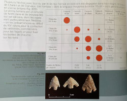 Ethnographic comparison on the number and variety of arrows according to the age of the owner