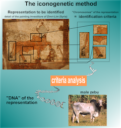 The iconogenetic method