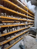 Collection of stones from the Ancient Forum of Bavay