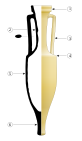 Dessin archéologique d'une amphore romaine vinaire du type Dressel 1B / CC BY-SA 3.0 Eric Gaba (Sting - fr:Sting) via Wikimedia Commons