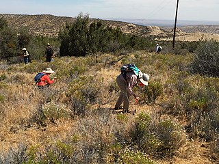 A team of amateur archaeologists led by two professionals in California