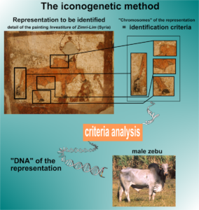 The iconogenetic method, with the example of a detail in the painting Investiture of Zimri-Lim (Syria), in the Louvre Museum (Paris) © Gransard-Desmond, 2004