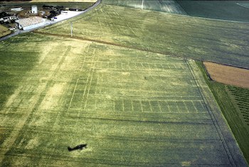 Photographie aérienne de la ville gallo-romaine de Novioregum